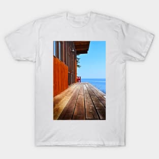 the view T-Shirt